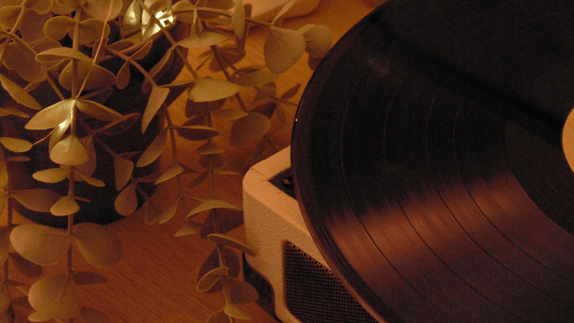 Vinilos Piratas vs. Originales: Guía para No Ser Estafado en el Mercado Argentino